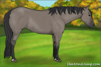 Horse Color:Grullo Rabicano 