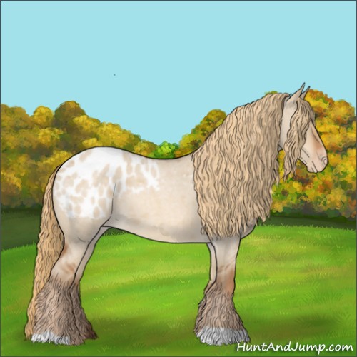 Horse Color:Red Dun Roan Appaloosa