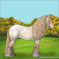Horse Color:Red Dun Roan Blanket 