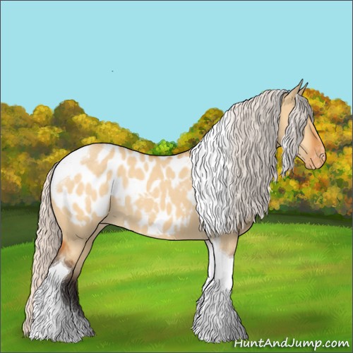 Horse Color:Silver Buckskin Dun Tobiano Appaloosa 