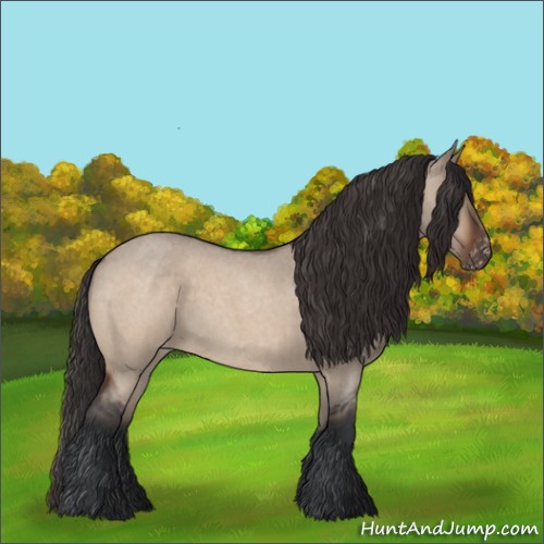 Horse Color:Bay Roan Dun Varnish 