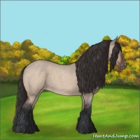 Horse Color:Bay Roan Dun Varnish 