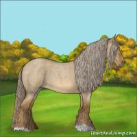 Horse Color:Chocolate Palomino Roan Dun 
