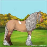 Horse Color:Silver Bay Dun Tobiano 