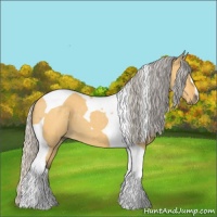 Horse Color:Silver Buckskin Dun Tobiano