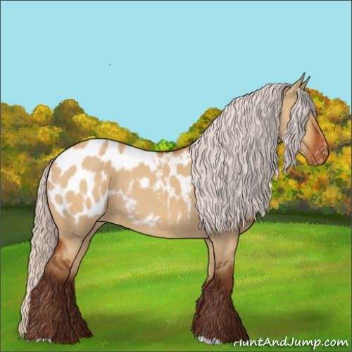 Horse Color:Silver Buckskin Roan Dun Appaloosa