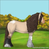 Horse Color:Bay Dun Tobiano Varnish 