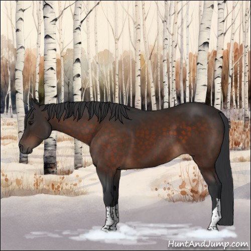 Horse Color:Brown Tobiano 