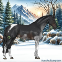 Horse Color:Brown Tobiano 