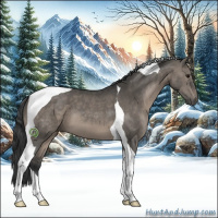 Horse Color:Grullo Tobiano 
