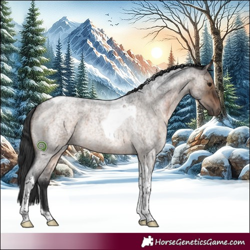 Horse Color:Brown Roan Dun Tobiano