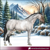Horse Color:Brown Roan Dun Tobiano 