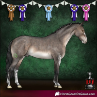 Horse Color:Brown Roan Dun Sabino Brindle 