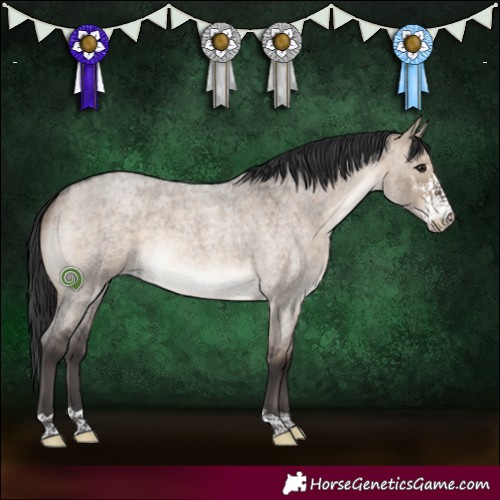 Horse Color:Brown Roan Dun Sabino
