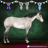 Horse Color:Brown Roan Dun Sabino