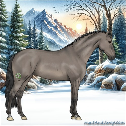 Horse Color:Grullo Roan