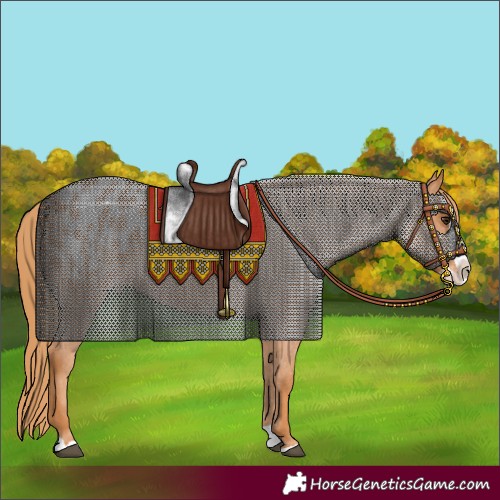 Horse Color:Chestnut Splash Blanket 