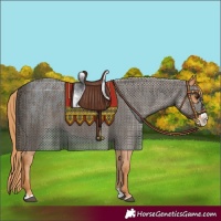 Horse Color:Chestnut Splash Blanket 