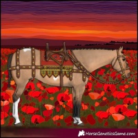 Horse Color:Bay Dun Tobiano Frame 