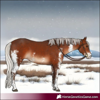 Horse Color:Silver Brown Sabino