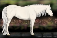 Horse Color:Cremello Dun 
