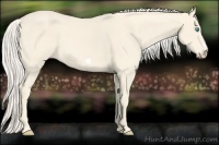 Horse Color:Cremello Frame