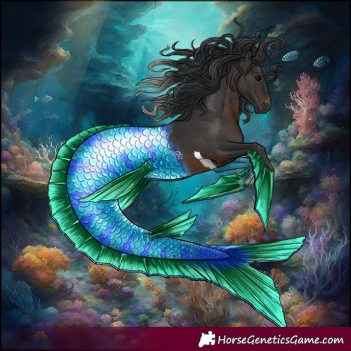 Horse Color:Brown Tobiano 