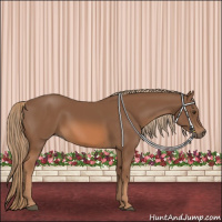 Horse Color:Chestnut Rabicano 