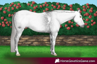 Horse Color:Gray Liver Chestnut Tobiano 