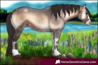 Horse Color:Brown Onyx