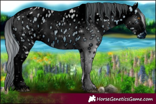 Horse Color:ERROR: UNKNOWN ANOMALY