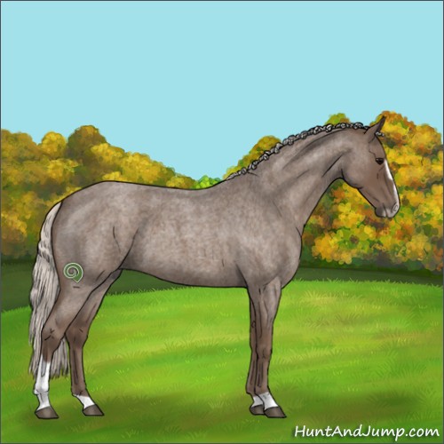 Horse Color:Silver Blue Roan Sabino