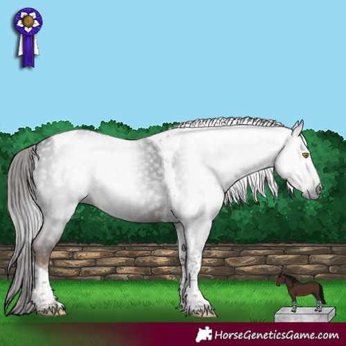 Horse Color:Gray Liver Chestnut Tobiano 