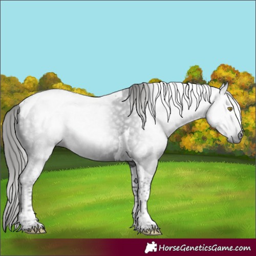 Horse Color:Gray Liver Chestnut Tobiano