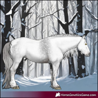 Horse Color:Gray Liver Chestnut Tobiano 