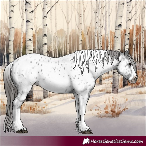 Horse Color:White Spotted Black Splash Tobiano Frame Near Leopard 