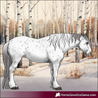Horse Color:White Spotted Black Splash Tobiano Frame Near Leopard 