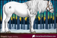 Horse Color:Gray Liver Chestnut Tobiano 