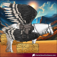 Horse Color:Gray Liver Chestnut Tobiano 