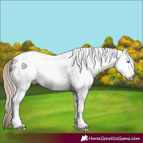 Horse Color:Gray Liver Chestnut Tobiano 