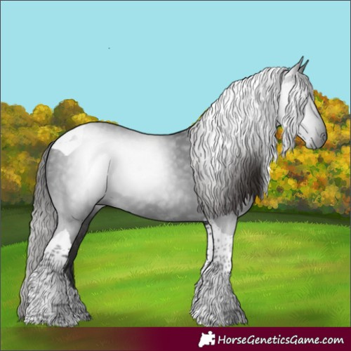 Horse Color:Gray Liver Chestnut Tobiano