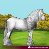 Horse Color:Gray Liver Chestnut Tobiano