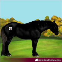 Horse Color:Void Grullo Splash Varnish 