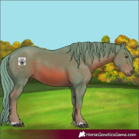 Horse Color:Watercolor Chestnut 