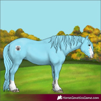 Horse Color:Watercolor Black 