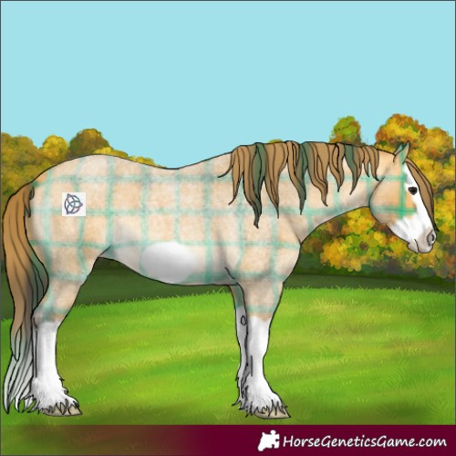 Horse Color:Plaid Buckskin Roan Splash Frame