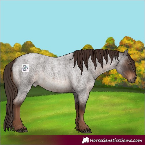 Horse Color:Liver Red Roan 