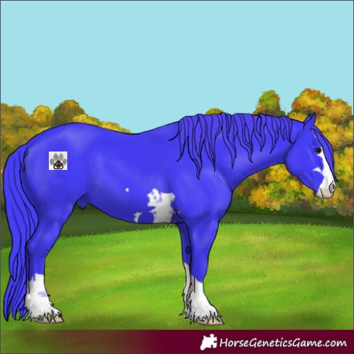 Horse Color:Watercolor Black 