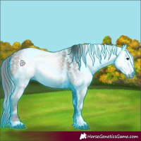 Horse Color:Gray Thunderstruck Bay 
