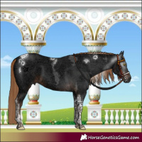 Horse Color:Gray Liver Chestnut Ice Tobiano 